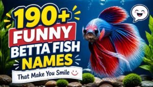 190+ funny betta fish names That Make You Smile